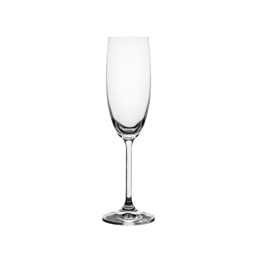 Champagne Flute - Ryner Glass Carnivale